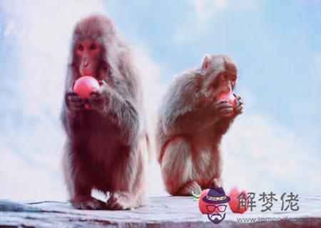 屬猴和什麽生肖合財 屬猴和什麽生肖合財