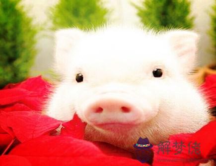 屬豬女人佩戴什麽好 屬豬女人佩戴什麽好