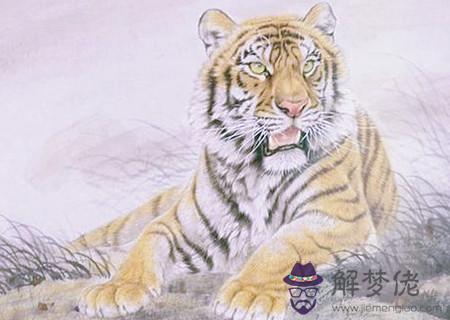 屬虎和什麽生肖合財 屬虎和什麽生肖合財