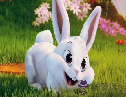 屬兔男人佩戴什麽好 屬兔男人佩戴什麽好