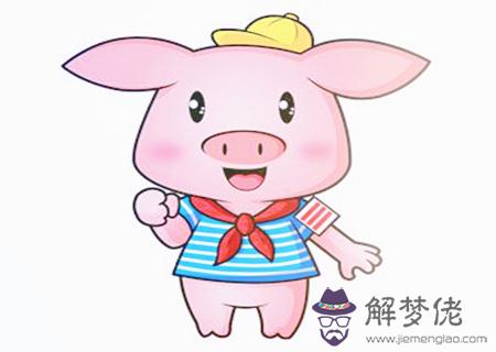 生肖豬適合養什麽寵物 生肖豬適合養什麽寵物