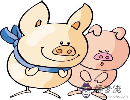 屬豬戴什麽飾品旺財