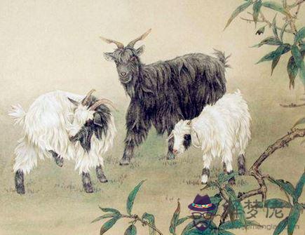 屬羊戴什麽飾品旺財 屬羊戴什麽飾品旺財