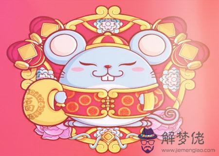 生肖鼠適合養什麽寵物 生肖鼠適合養什麽寵物