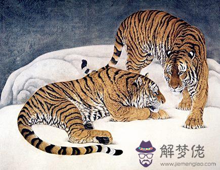 屬虎人本命年需要注意什麽 屬虎人本命年需要注意什麽