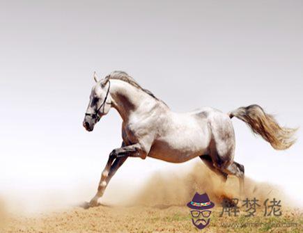 屬馬人本命年需要注意什麽 屬馬人本命年需要注意什麽