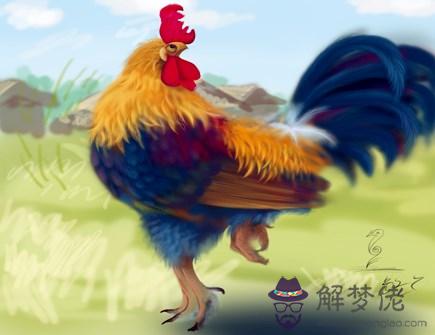 屬雞人本命年需要注意什麽 屬雞人本命年需要注意什麽