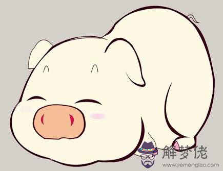 屬豬人一生的健康狀況 屬豬人一生的健康狀況