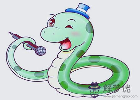 屬蛇辦公室放什麽植物旺財 屬蛇辦公室放什麽植物旺財