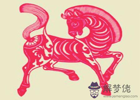 屬馬辦公室放什麽植物旺財 屬馬辦公室放什麽植物旺財