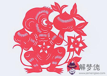 屬猴辦公室放什麽植物旺財 屬猴辦公室放什麽植物旺財