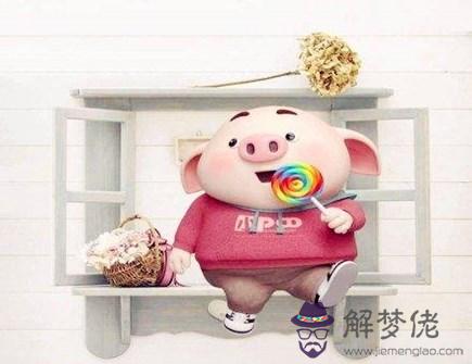 生肖豬哪年有橫財 生肖豬哪年有橫財