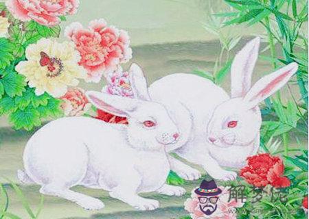 屬兔女的和什麽屬相最配 屬兔女的和什麽屬相最配