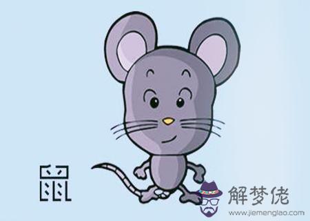 屬鼠的人適合做什麽行業 屬鼠的人適合做什麽行業