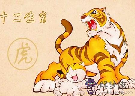 屬虎的人適合做什麽行業 屬虎的人適合做什麽行業