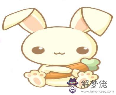 屬兔女和什么屬相最配