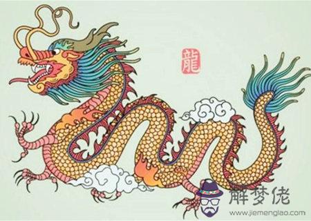 屬龍適合養什么植物