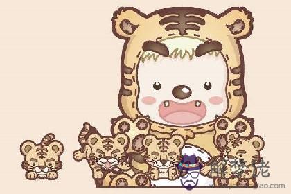 為什麼屬豬和屬虎最合適 屬豬和屬虎的合財嗎