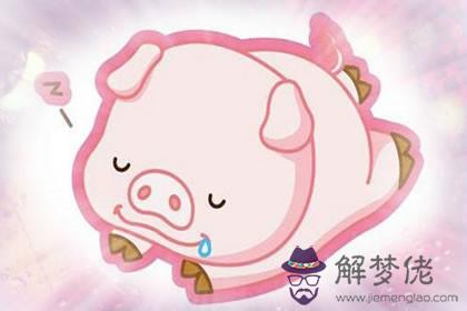 為什麼屬豬和屬虎最合適 屬豬和屬虎的合財嗎