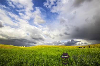 屬鼠的子時出生的女孩命運如何 好不好