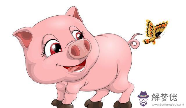 83屬豬女人一生命運:83年屬豬人一生運勢事業