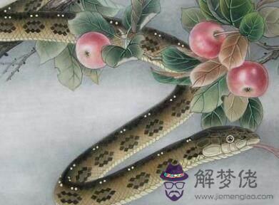 年屬蛇的能賺大錢嗎：年44歲屬蛇的人在年財運好不好？