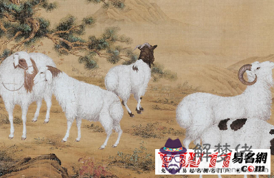 屬羊女哪個月最有福氣：屬羊的幾月份最好