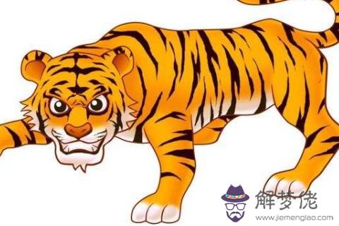 屬虎年每月運勢及運程:屬虎人年運程