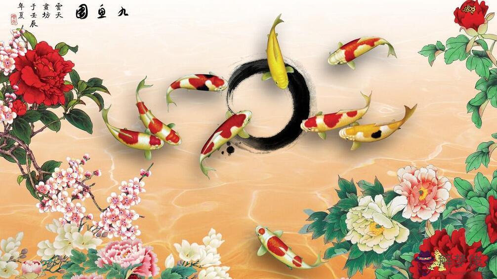 62年出生屬虎的今年多大了:62年虎生的虎到年多大歲數?