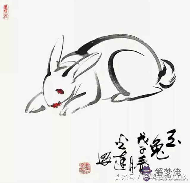 兔爐中火適合做什麼行業:爐中火適合做什麼生意?