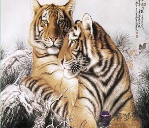 請問二零一零年元月一號出生的孩子是屬虎嗎?如果按農歷就是二零零九年的,就是屬牛,那他到底是屬牛還是