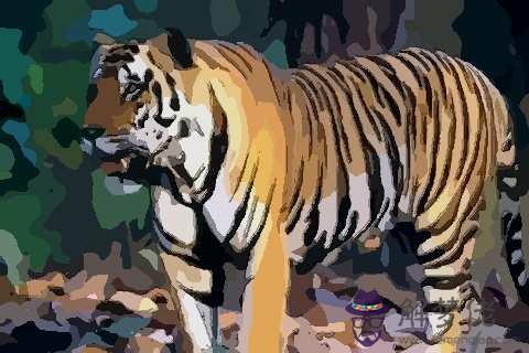 屬虎婚姻及運勢:屬虎的47歲年家庭幸福嗎?