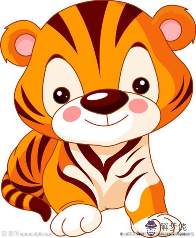 虎女和龍男的屬相合不合:屬虎女和屬龍男怎樣