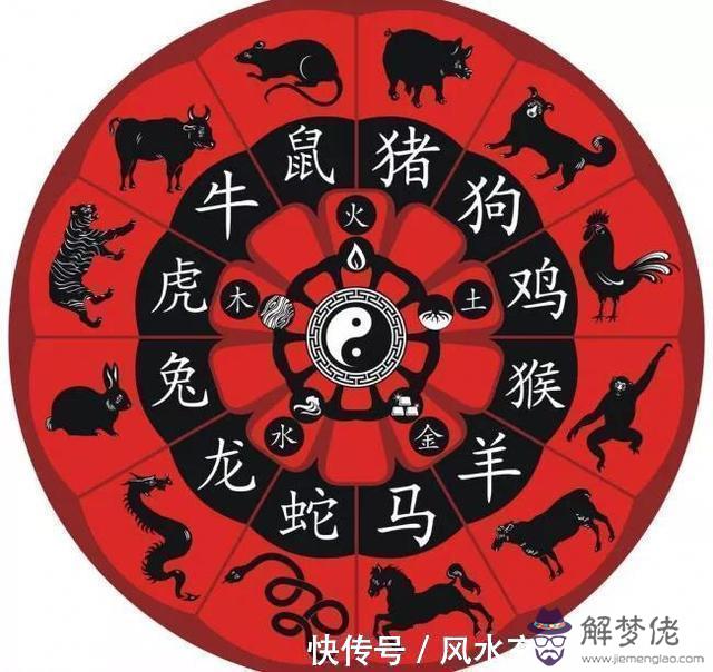 十二生肖鼠的最佳配對:最準的12生肖配對表?