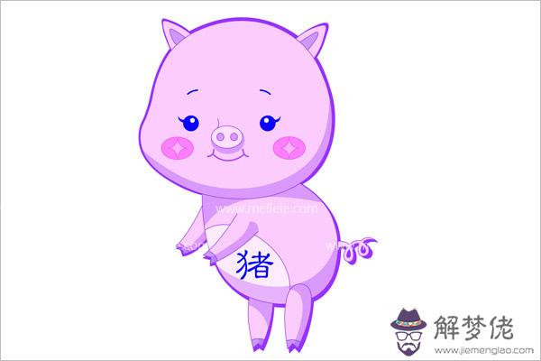 十二生肖最佳婚配表豬的婚配:屬相婚配:男屬龍和女屬豬相配嗎