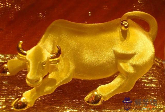 屬牛人最旺的年齡:年同齡屬牛的適合什麼年齡結婚