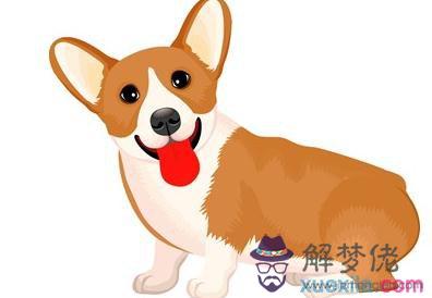 屬狗,年運勢究竟找誰幫忙看?聽聽大家的建議。