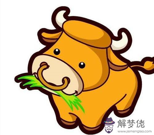 屬牛的今年是多大年紀:屬牛的今年多大