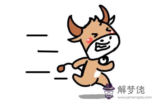 屬牛的今年是多大年紀:屬牛的今年多大了?