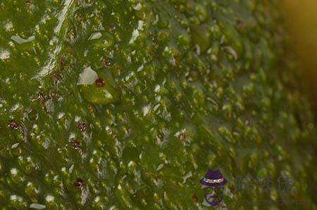 男孩姓袁叫什麼名字好:袁姓男孩取什麼名字好聽