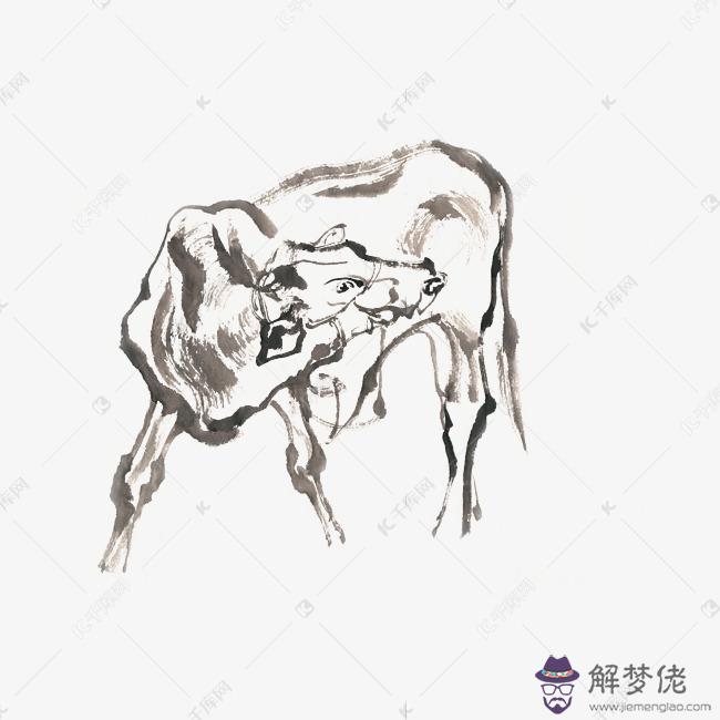 國畫牛圖片大全大圖:求一張死牛圖片,真實