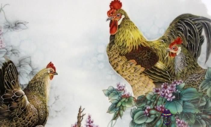 屬雞的年運勢如何男性:屬牛和屬雞的夫妻年運勢及運程男性?