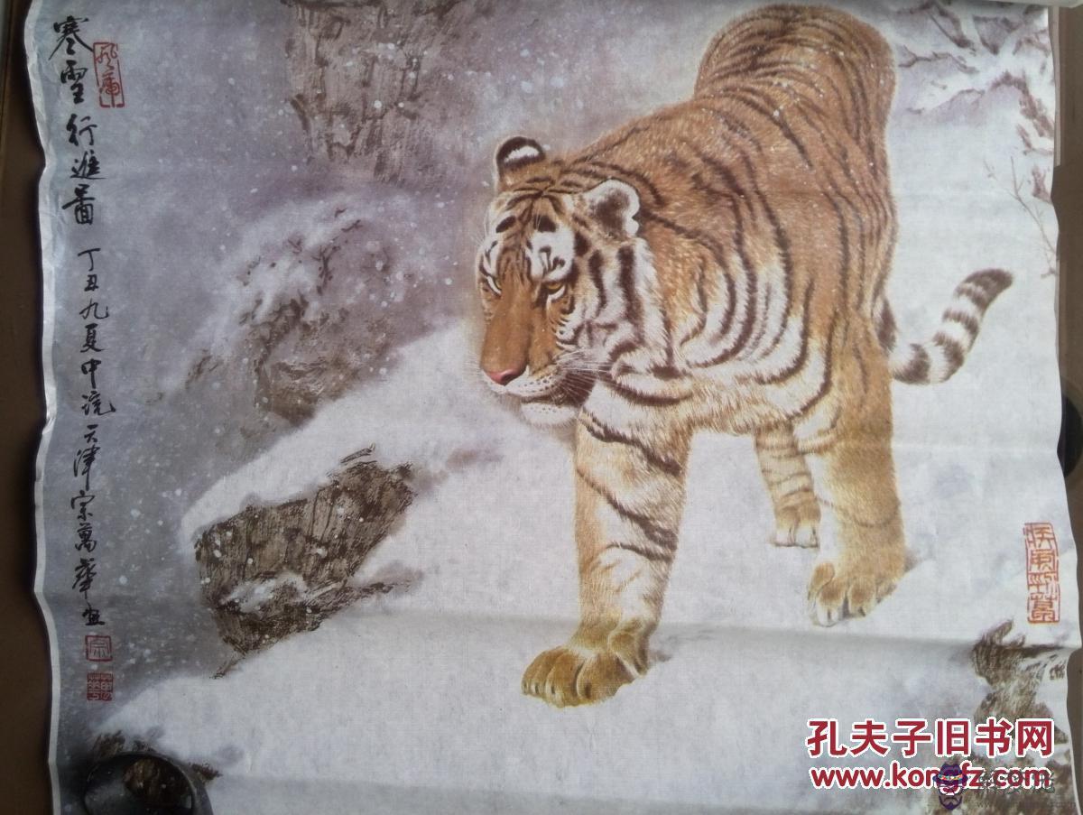 86年屬虎的年有一劫:年屬虎在年有回頭劫難嗎?