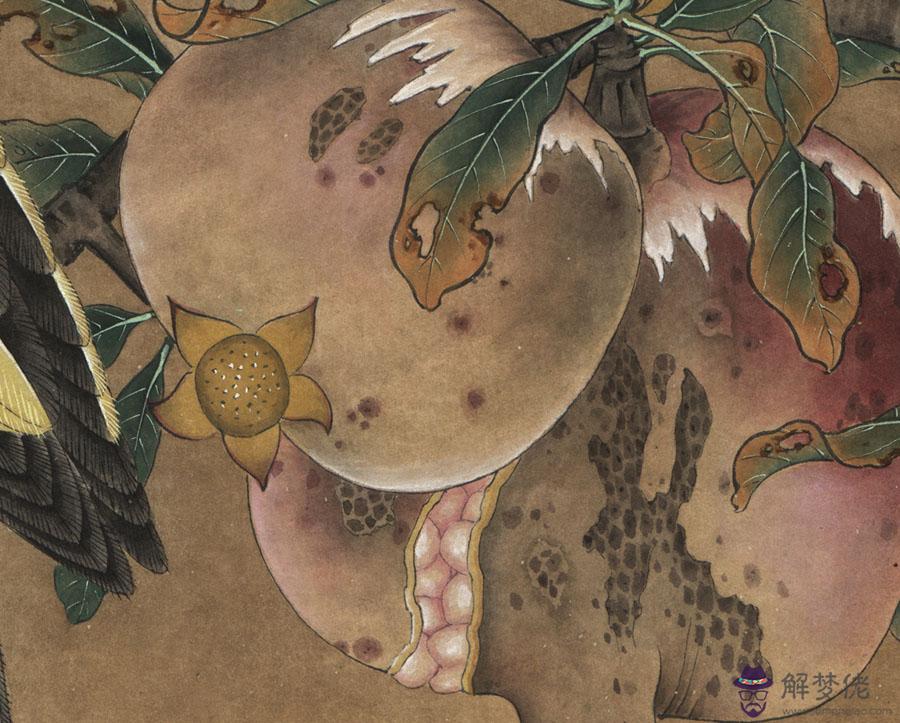 年男孩小名萌一點的洋氣:小男孩起小名,活潑可愛點的