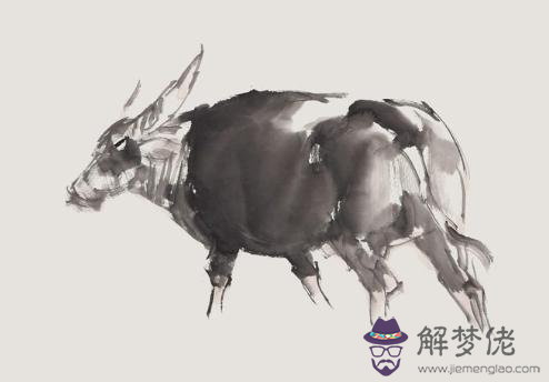 85年屬牛的最佳配偶和龍:屬牛和屬龍相配嗎?