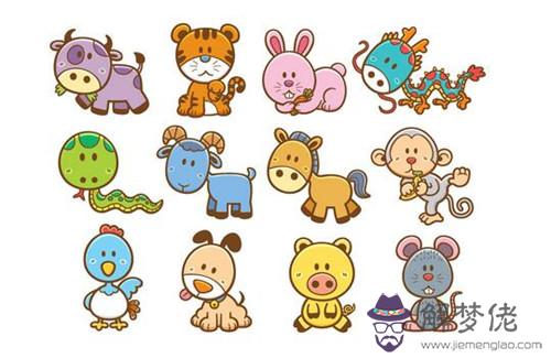 1985屬牛女的一生婚姻:1985年屬牛女人一輩子有幾次婚姻