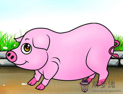 95年屬豬找對象方位:95年正月的屬豬的和什麼屬相最配