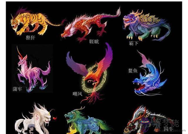 年生虎寶寶幾月份好:虎寶寶幾月出生最好