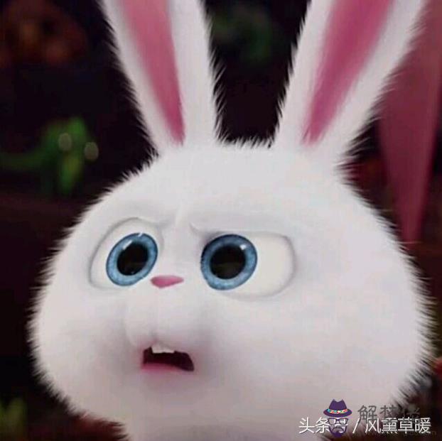 87年屬兔人最窮不過36歲:87年屬兔過了三十歲運氣怎麼樣