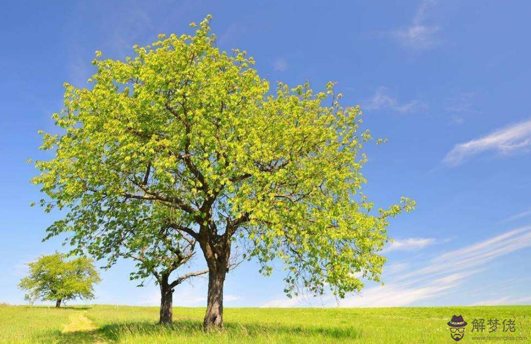 87年屬兔人最窮不過36歲:屬兔87年正月三十生是富貴命還昰窮苦命